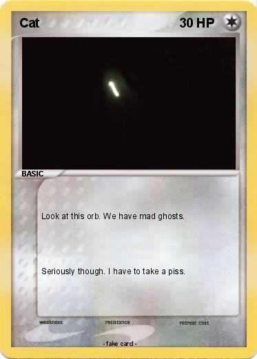Pokemon Cat