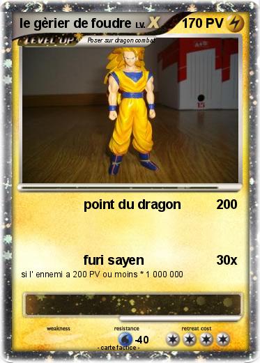 Pokemon le gèrier de foudre