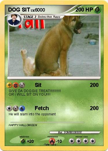 Pokemon DOG SIT