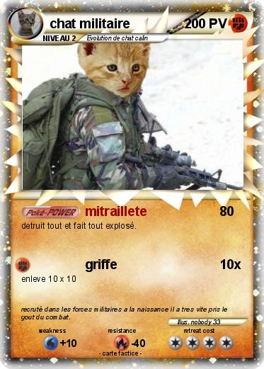Pokemon chat militaire