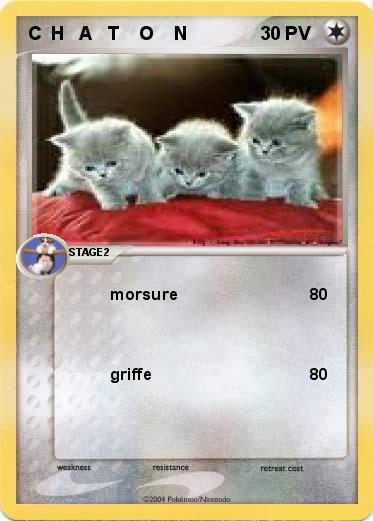 Pokemon C  H   A   T    O    N