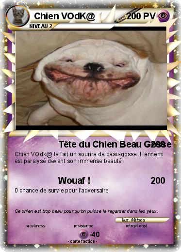Pokemon Chien VOdK@