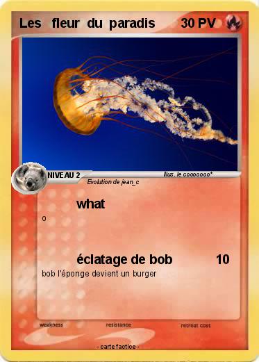 Pokemon Les   fleur  du  paradis