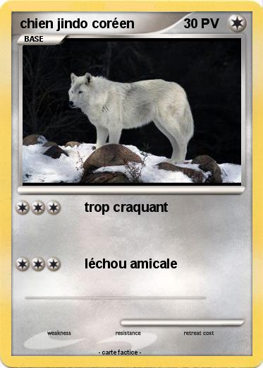Pokemon chien jindo coréen