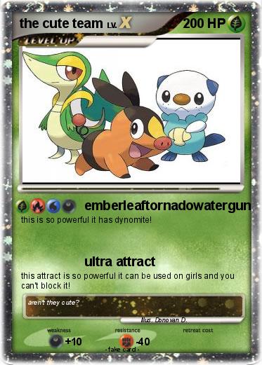 Pokemon the cute team
