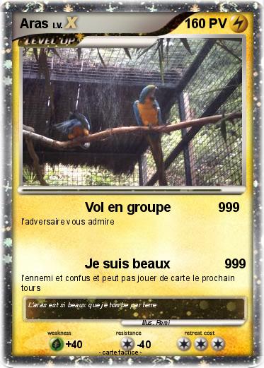Pokemon Aras