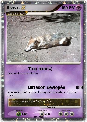 Pokemon Aras
