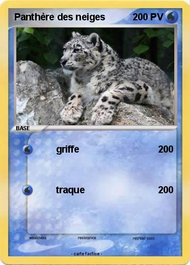 Pokemon Panthère des neiges