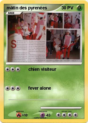 Pokemon mâtin des pyrenées