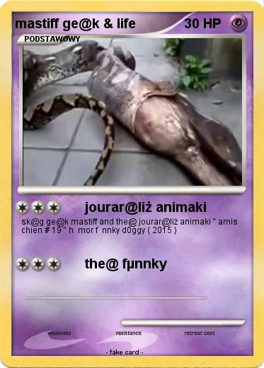 Pokemon mastiff ge@k & life