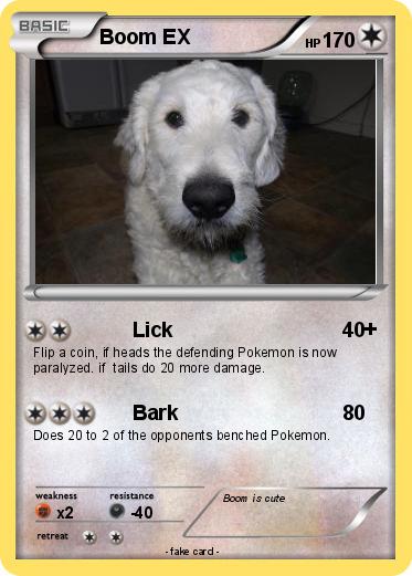 Pokemon Boom EX