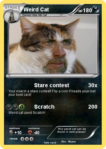 Pokemon Weird Cat