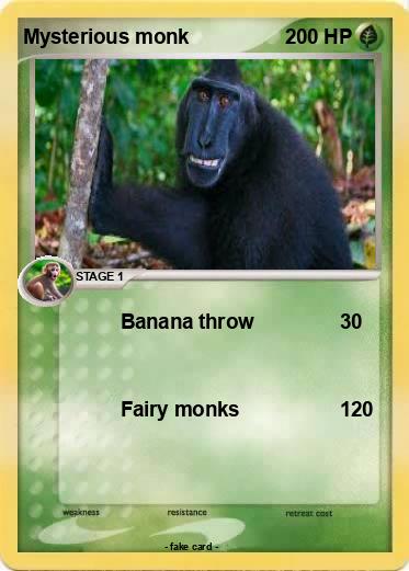 Pokemon Mysterious monk