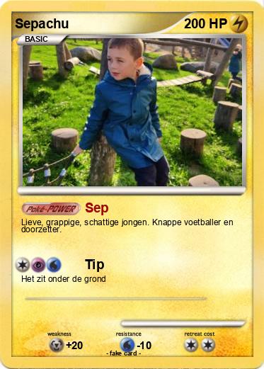 Pokemon Sepachu