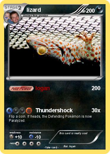Pokemon lizard