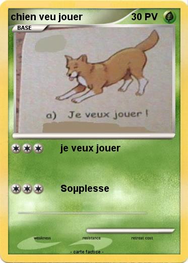 Pokemon chien veu jouer