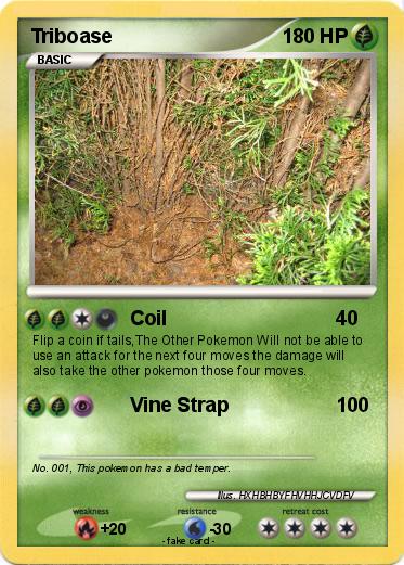 Pokemon Triboase