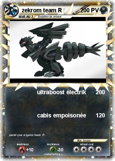 Pokemon zekrom team R