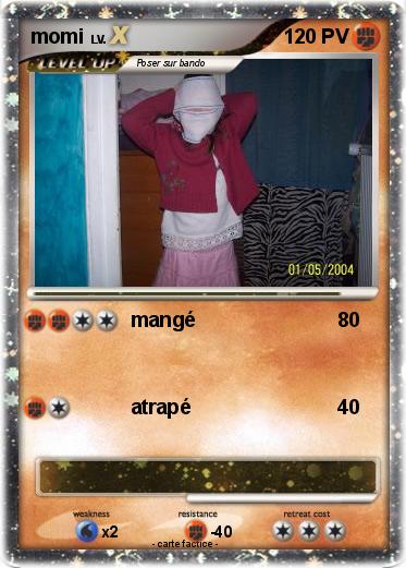 Pokemon momi