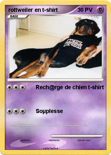 Pokemon rottweiler en t-shirt