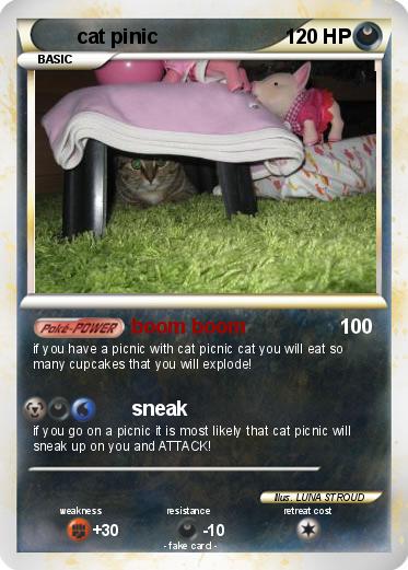 Pokemon cat pinic