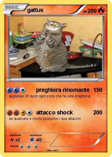 Pokemon gattus