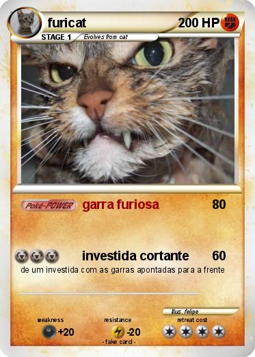 Pokemon furicat