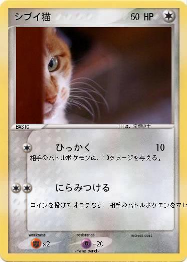 Pokemon シブイ猫