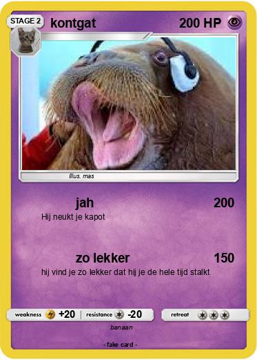 Pokemon kontgat