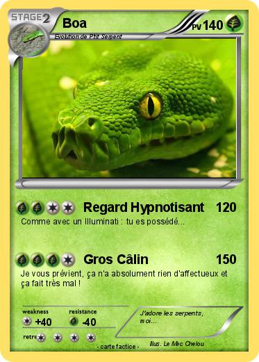 Pokemon Boa
