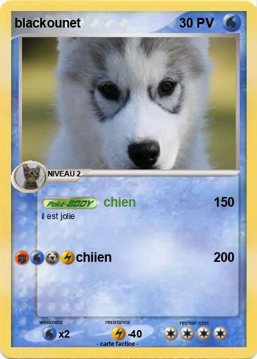 Pokemon blackounet