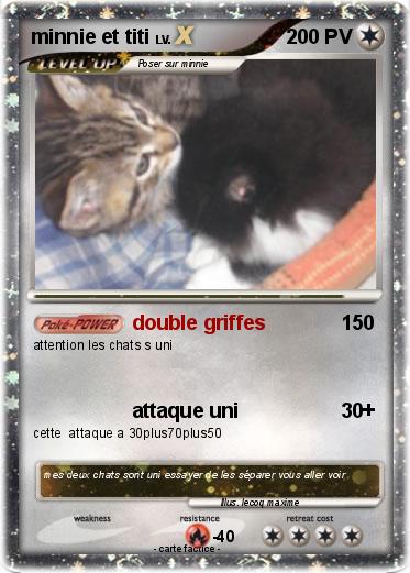Pokemon minnie et titi