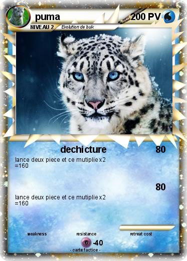 Pokemon puma