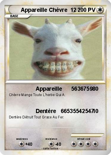 Pokemon Appareille Chèvre  12