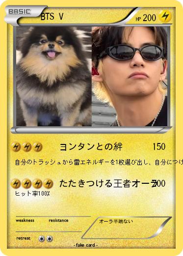 Pokemon BTS V