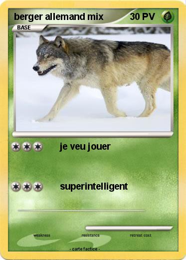 Pokemon berger allemand mix