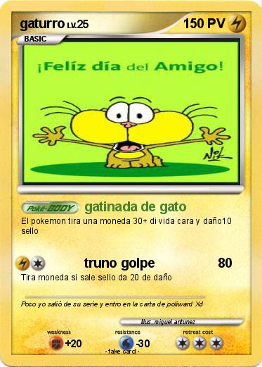 Pokemon gaturro