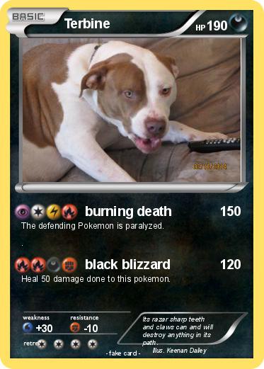 Pokemon Terbine