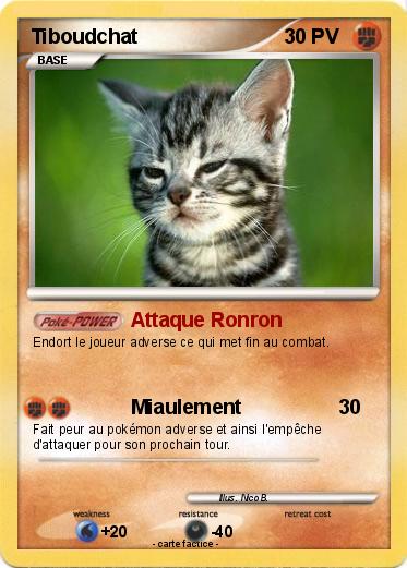 Pokemon Tiboudchat