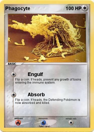 Pokemon Phagocyte