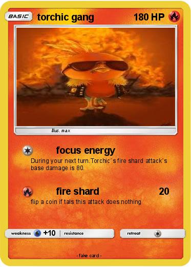 Pokemon torchic gang