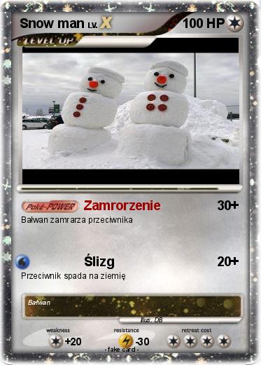 Pokemon Snow man