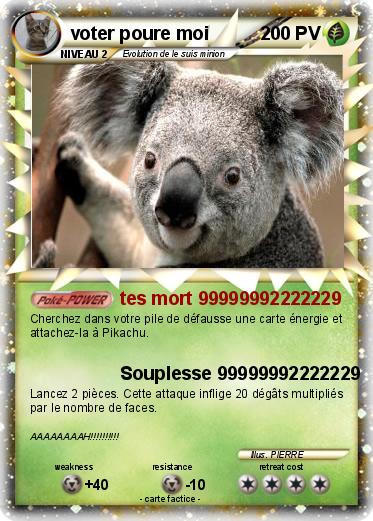 Pokemon voter poure moi