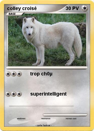 Pokemon colley croisé