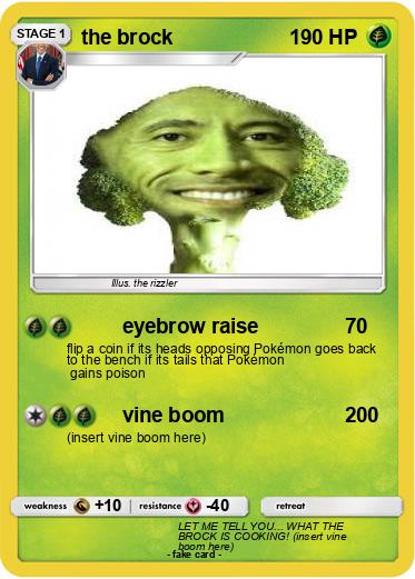Pokemon the brock