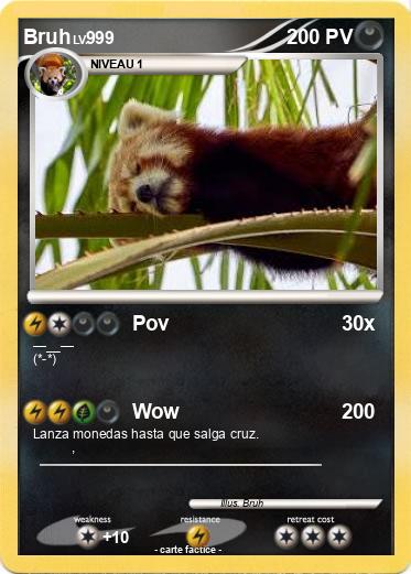 Pokemon Bruh