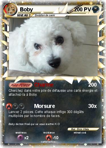 Pokemon Boby