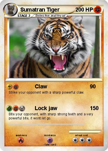Pokemon Sumatran Tiger