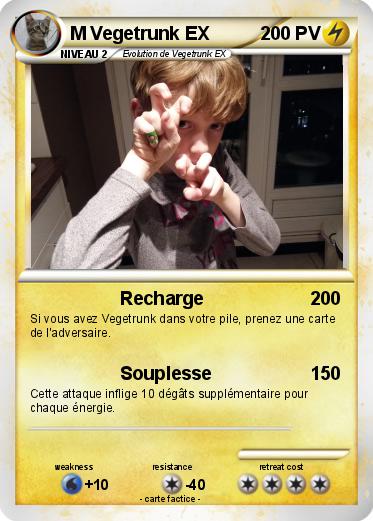 Pokemon M Vegetrunk EX