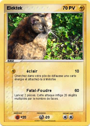 Pokemon Elektek